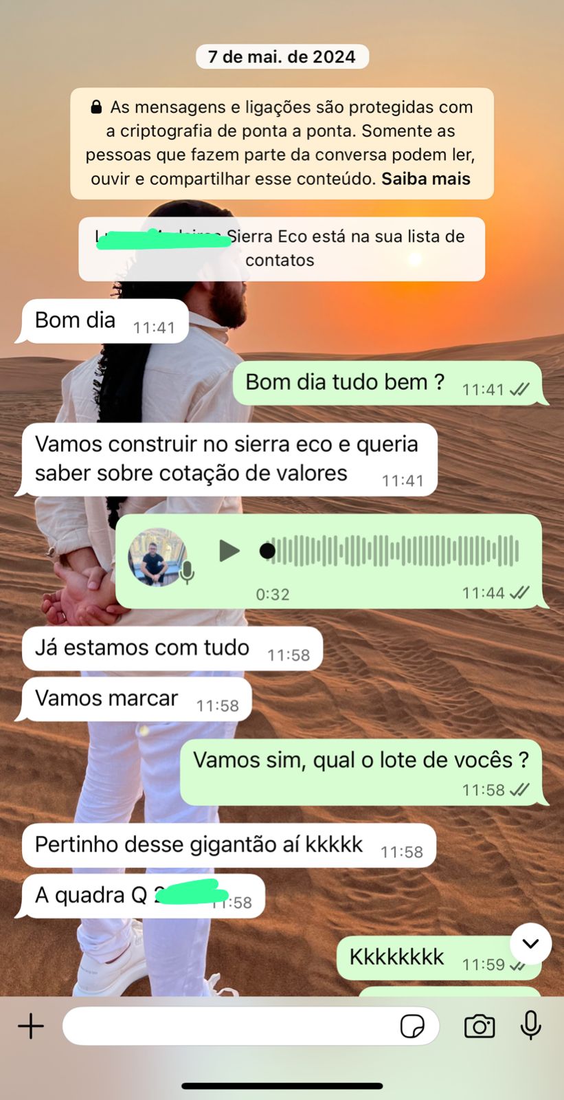 p5.jpg